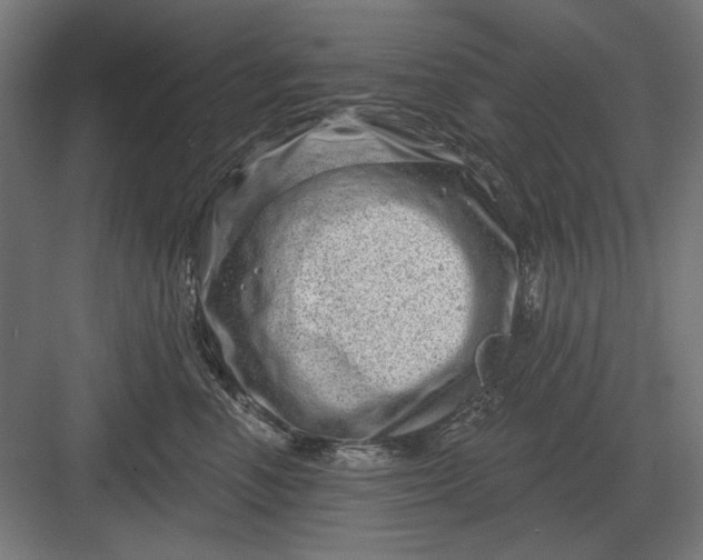 X0000082930666200702152149