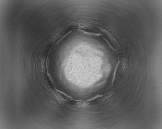 X0000082930667200702152149