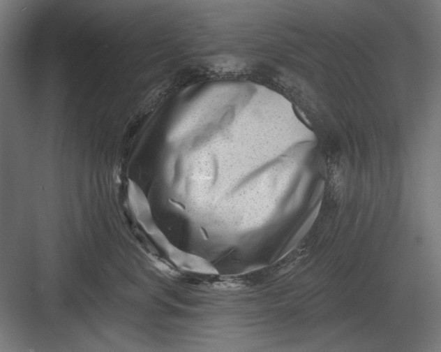 X0000082930668200702152149