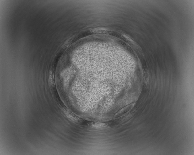 X0000082930669200702152149