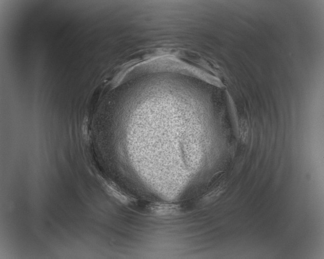 X0000082930670200702152149