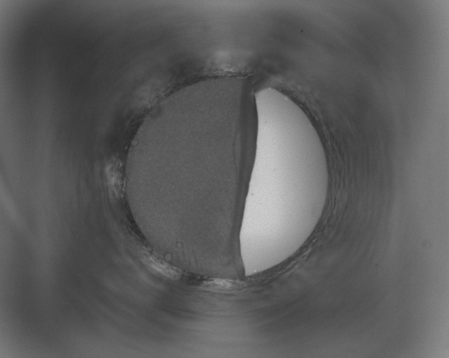 X0000082930672200702152149