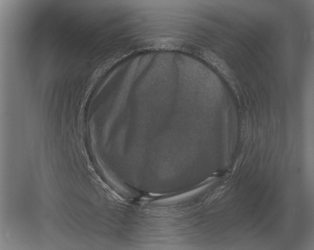 X0000082930673200702152148