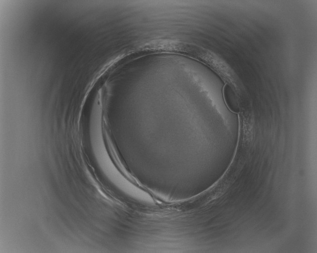 X0000082930674200702152148