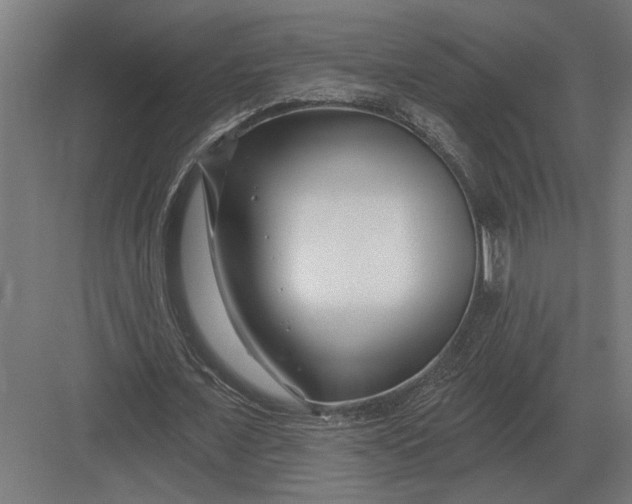 X0000082930675200702152148