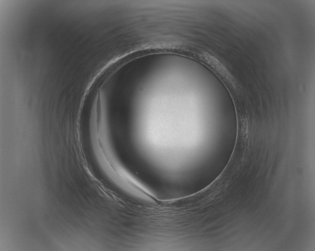 X0000082930676200702152148