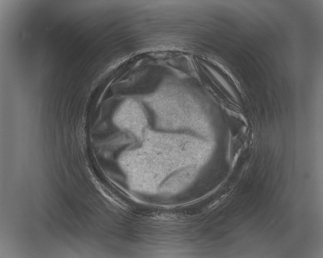 X0000082930677200702152148