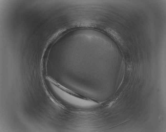 X0000082930678200702152148