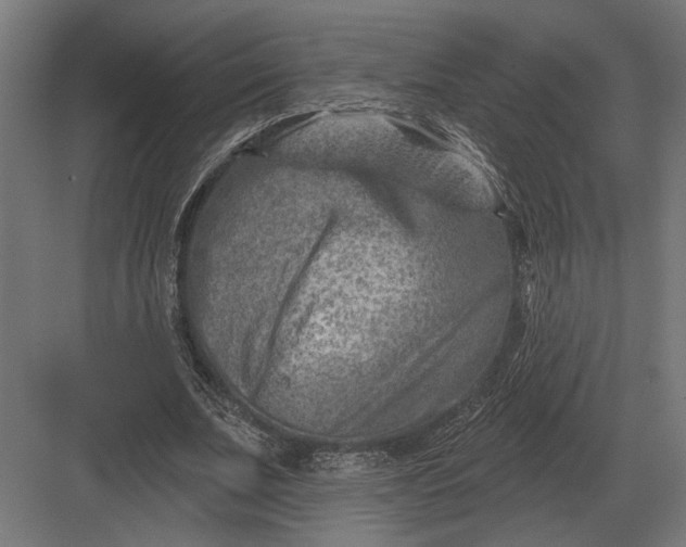 X0000082930679200702152148