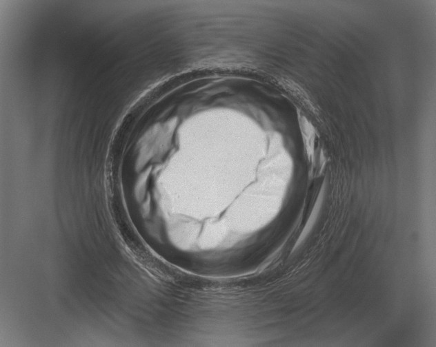 X0000082930680200702152148