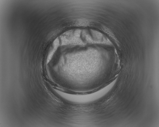 X0000082930681200702152148