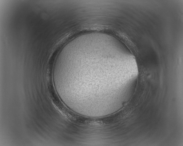 X0000082930683200702152148