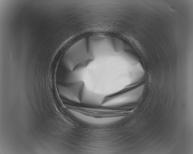 X0000082930684200702152148