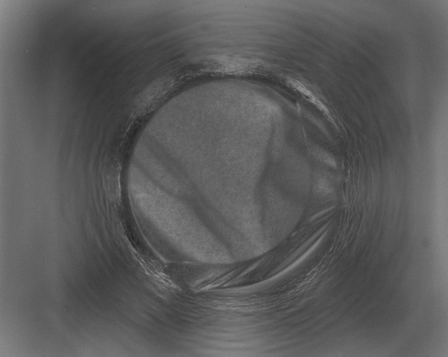 X0000082930685200702152148