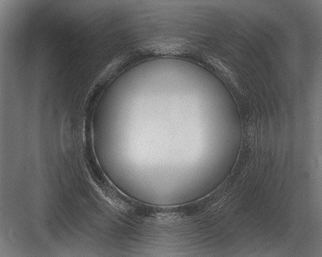 X0000082930686200702152148