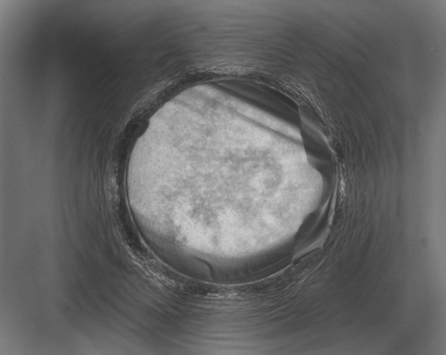 X0000082930688200702152148