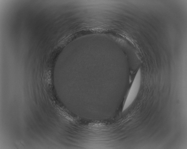 X0000082930689200702152148