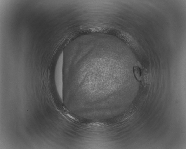 X0000082930691200702152148