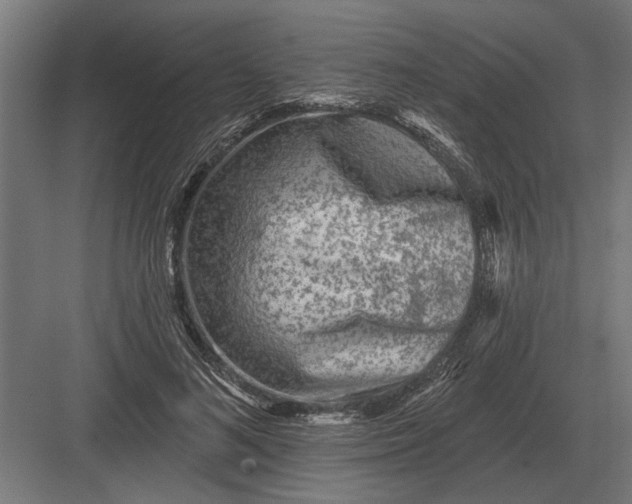 X0000082930692200702152148