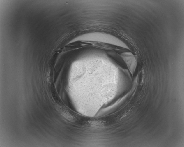 X0000082930693200702152148