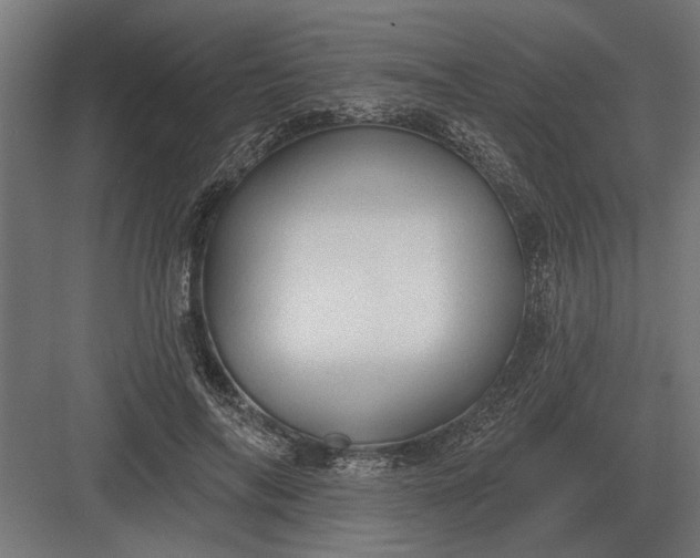 X0000082930694200702152148