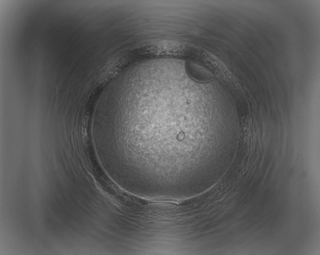 X0000082930695200702152148