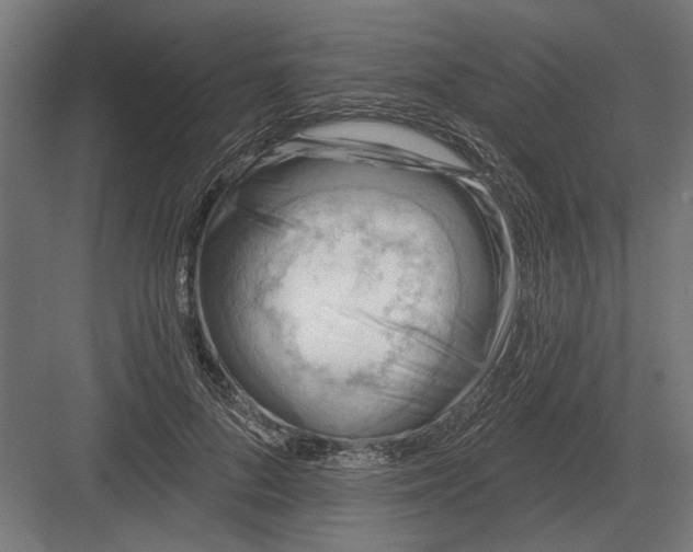 X0000082930696200702152148