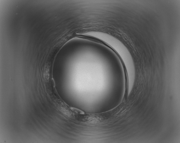 X0000082930697200702152148