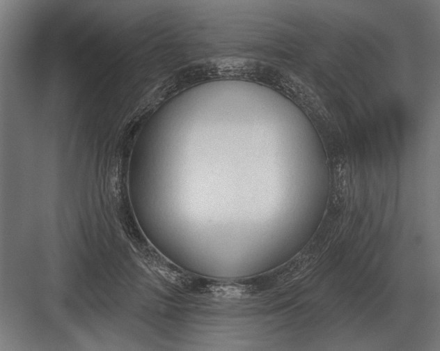 X0000082930698200702152148