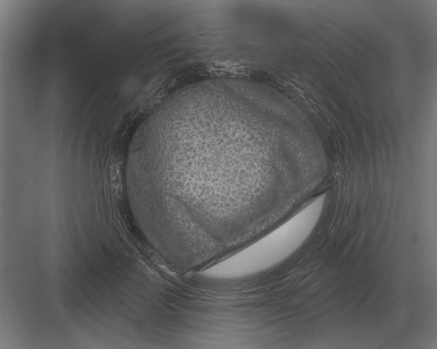 X0000082930699200702152148