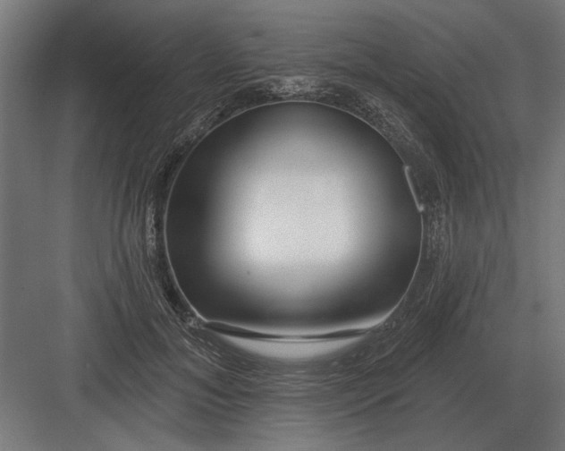 X0000082930700200702152148