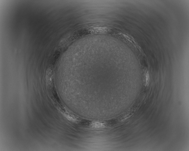 X0000082930701200702152148