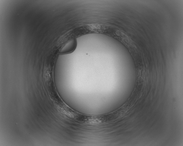 X0000082930702200702152148