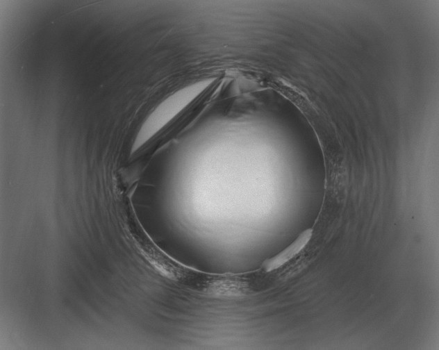 X0000082930708200702152147