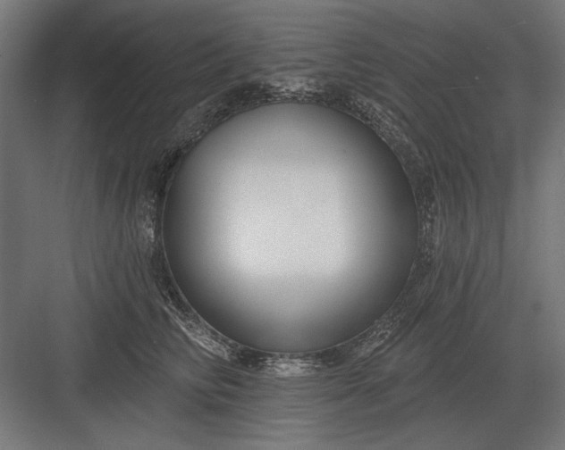 X0000082930710200702152147