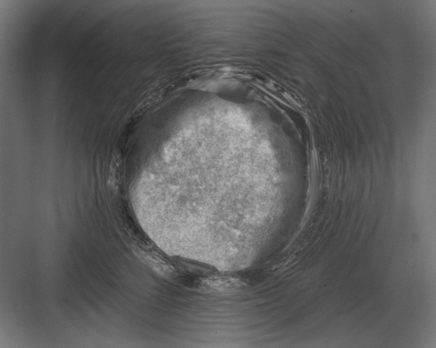 X0000082930712200702152147