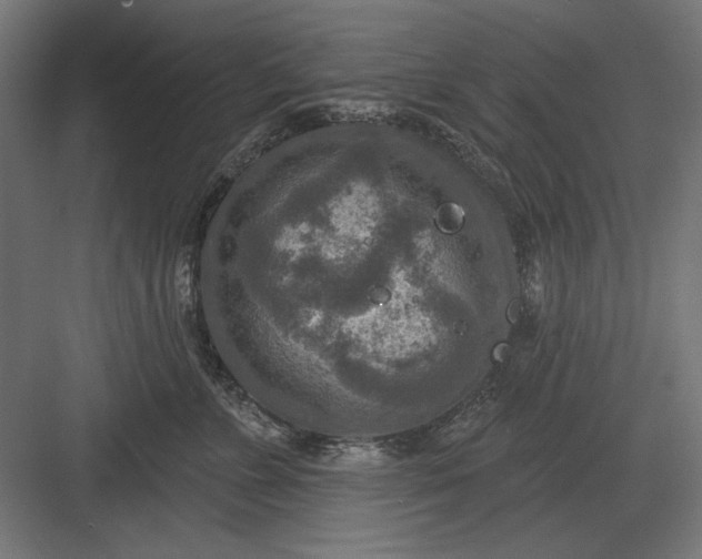 X0000082930715200702152147