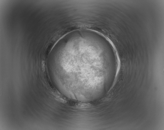 X0000082930716200702152147