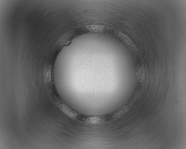 X0000082930717200702152147