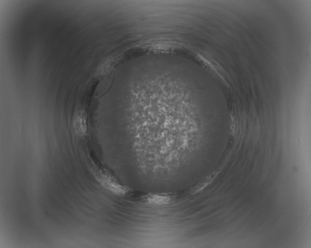 X0000082930718200702152147