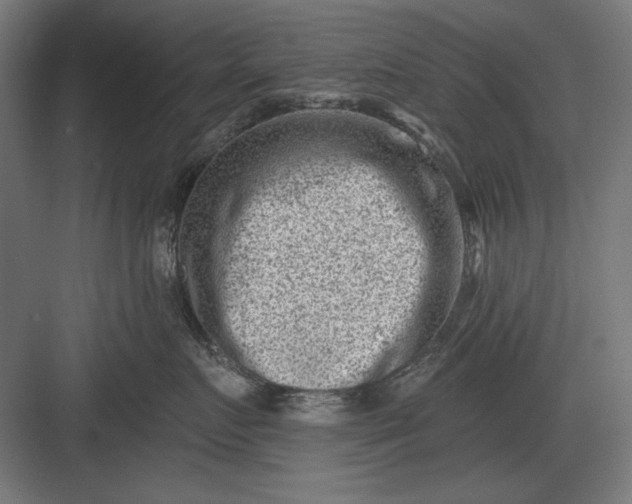 X0000082930719200702152147