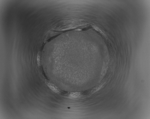 X0000082930720200702152147