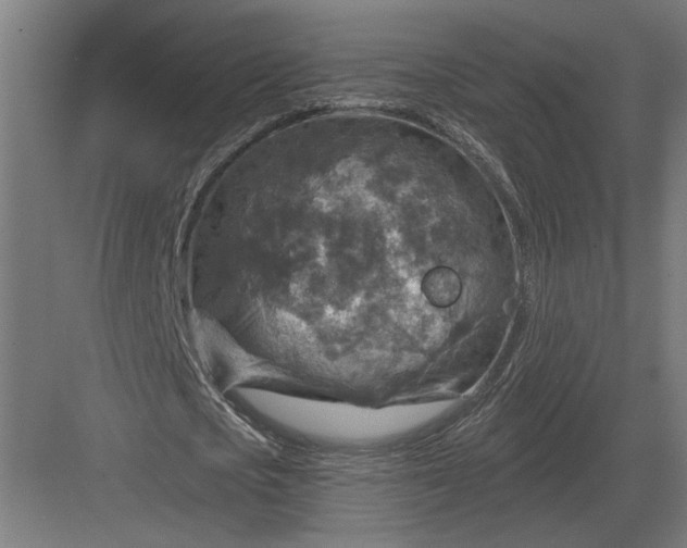 X0000082930721200702152146