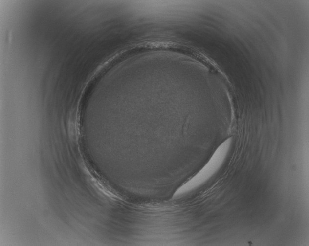 X0000082930722200702152146