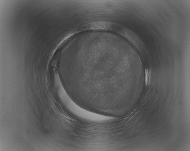 X0000082930723200702152146