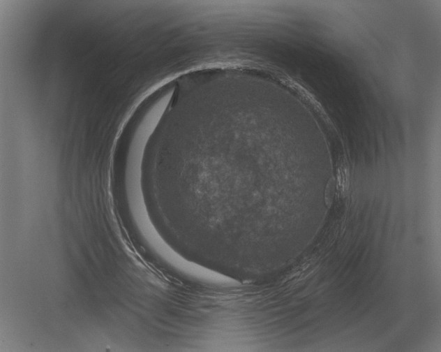 X0000082930724200702152146