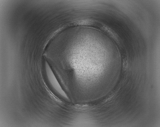 X0000082930725200702152146