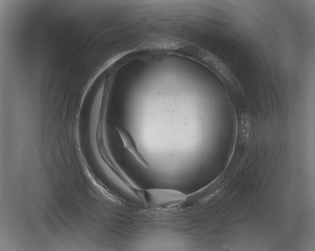 X0000082930726200702152146