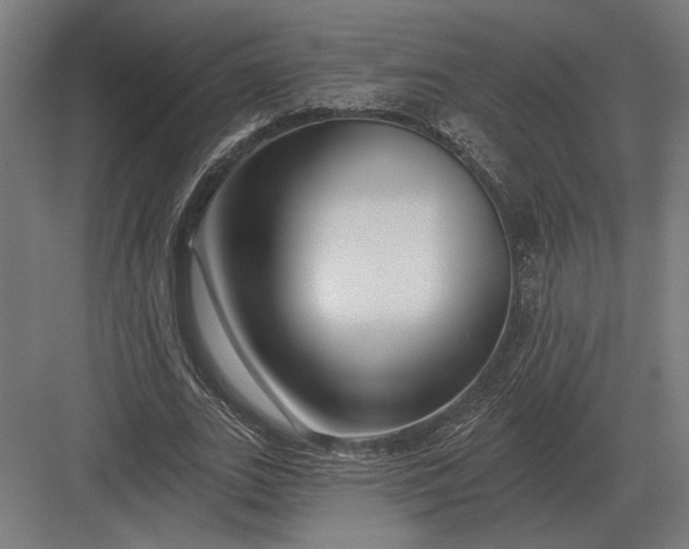 X0000082930727200702152146