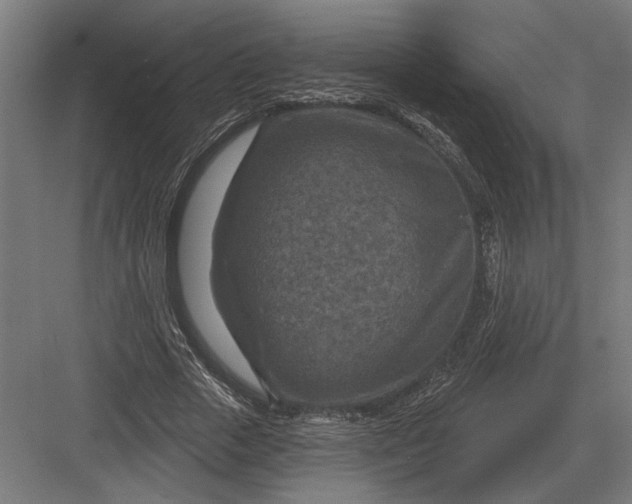 X0000082930729200702152147